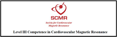 SCMR_Level_III SCMR_Level_III